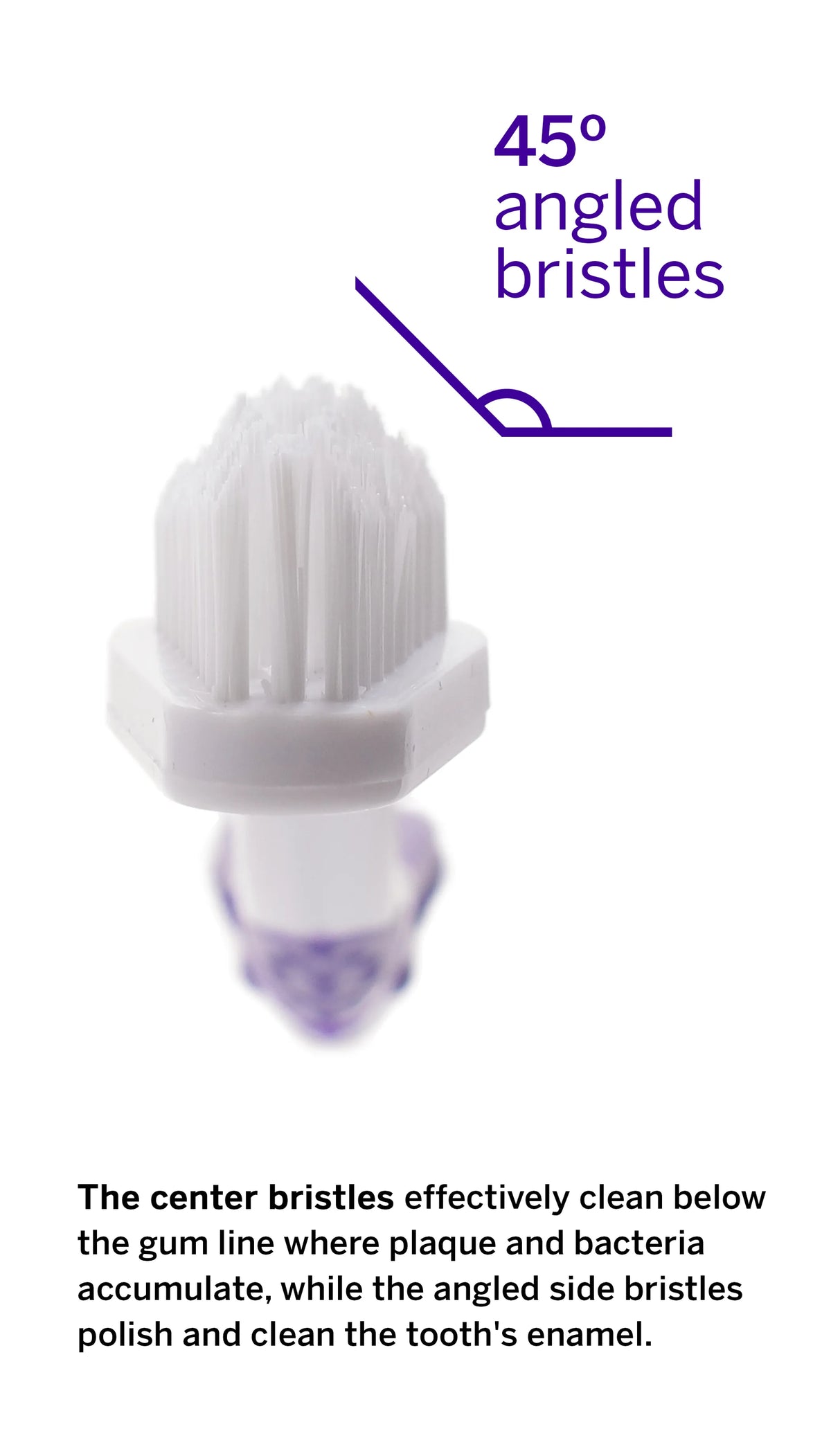 Professional Pet Toothbrush - Patented 45 Degree Dual-Ended Brush Head