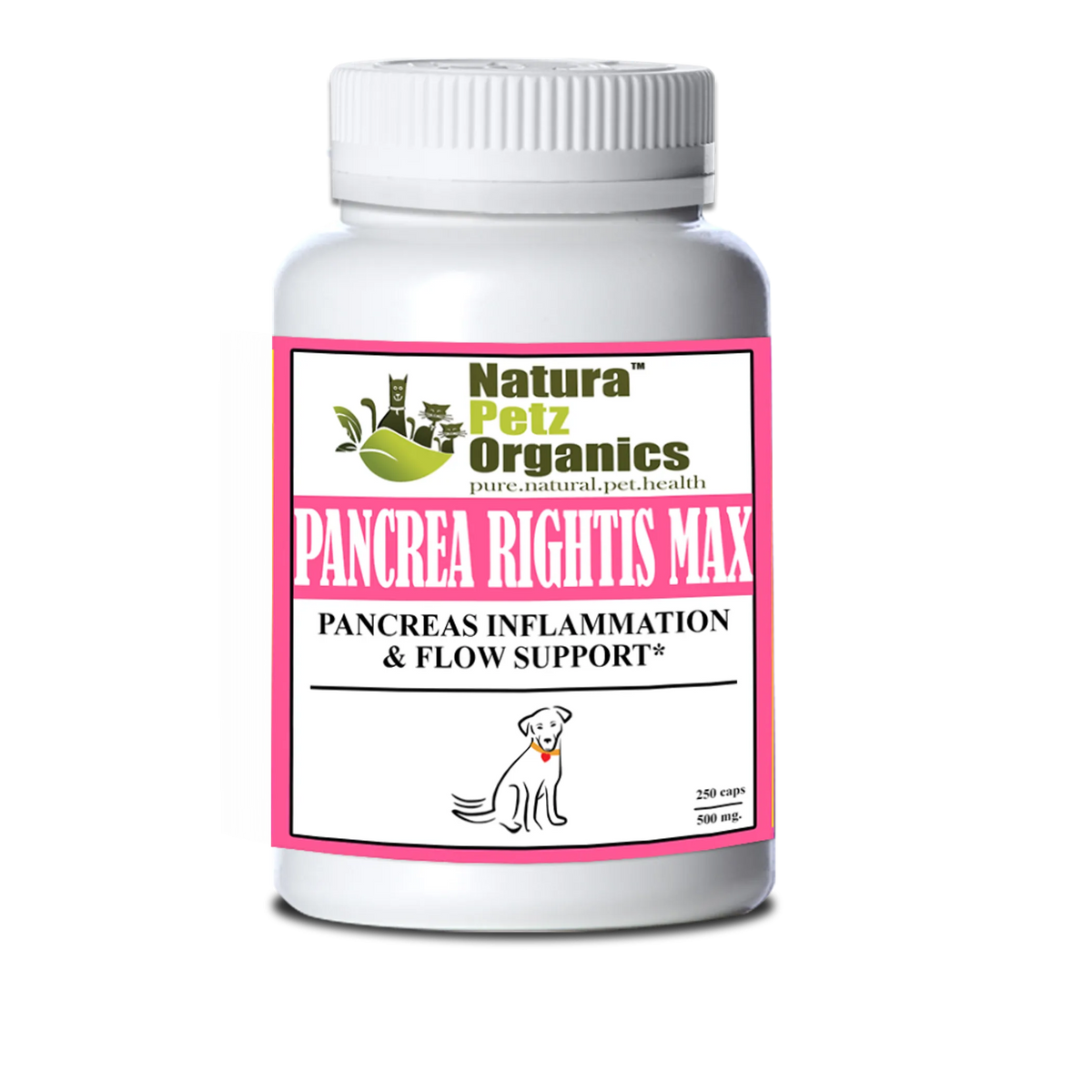 Pancrea Rightis Max Support* Capsules Pancreas Inflammation & Flow Support Dogs Cats*