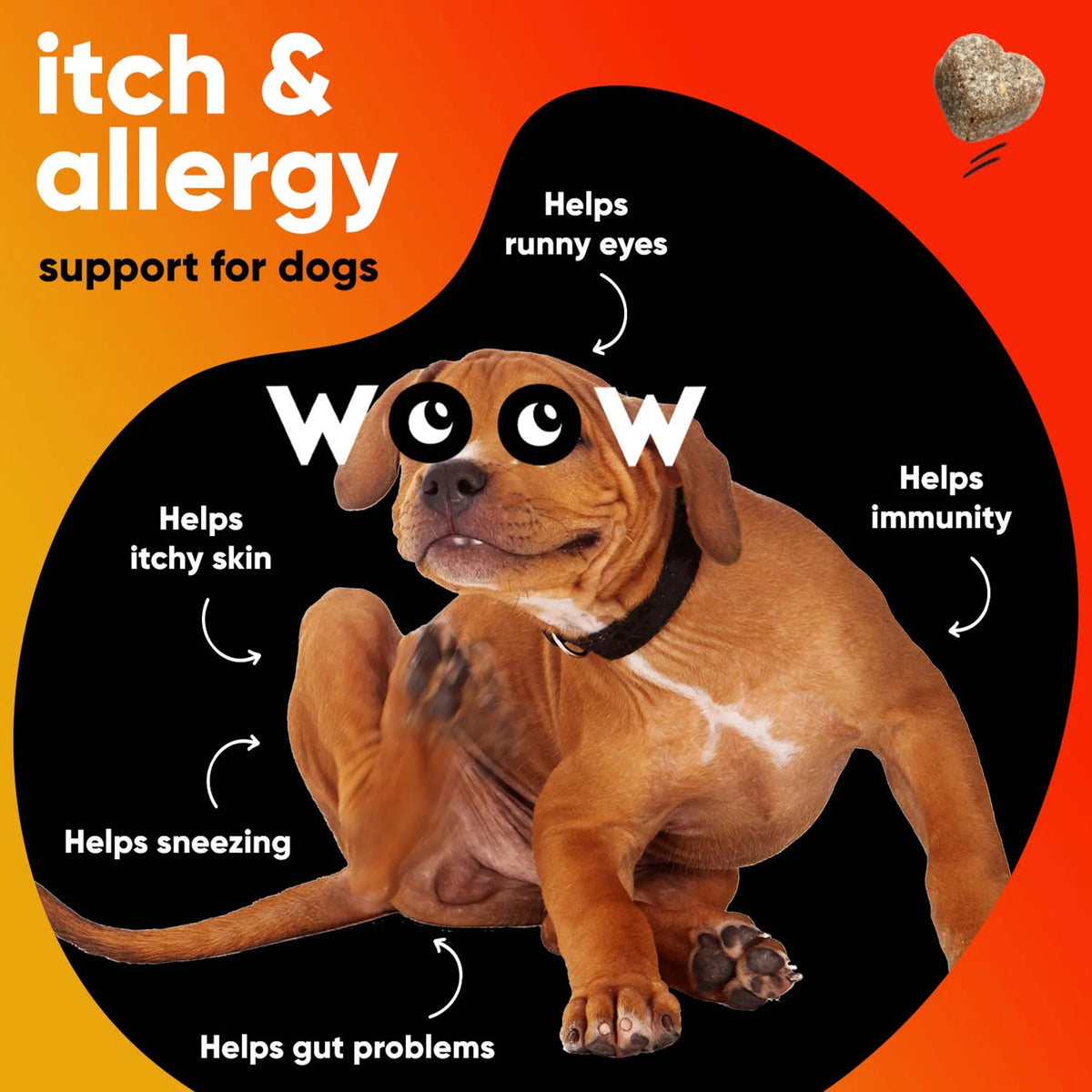 Dr Woow Allergy and Immunity Soft Chews