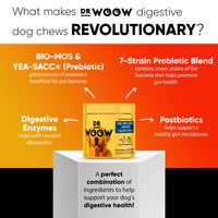 Dr Woow Digestion Soft Chews