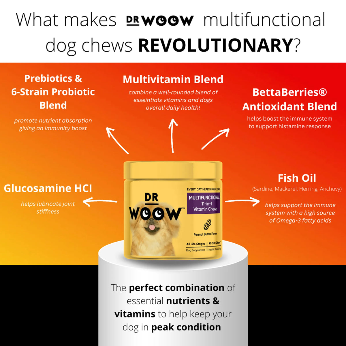 Dr Woow Multifunctional 11-in-1 vitamin chews