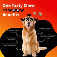 Dr Woow Multifunctional 11-in-1 vitamin chews